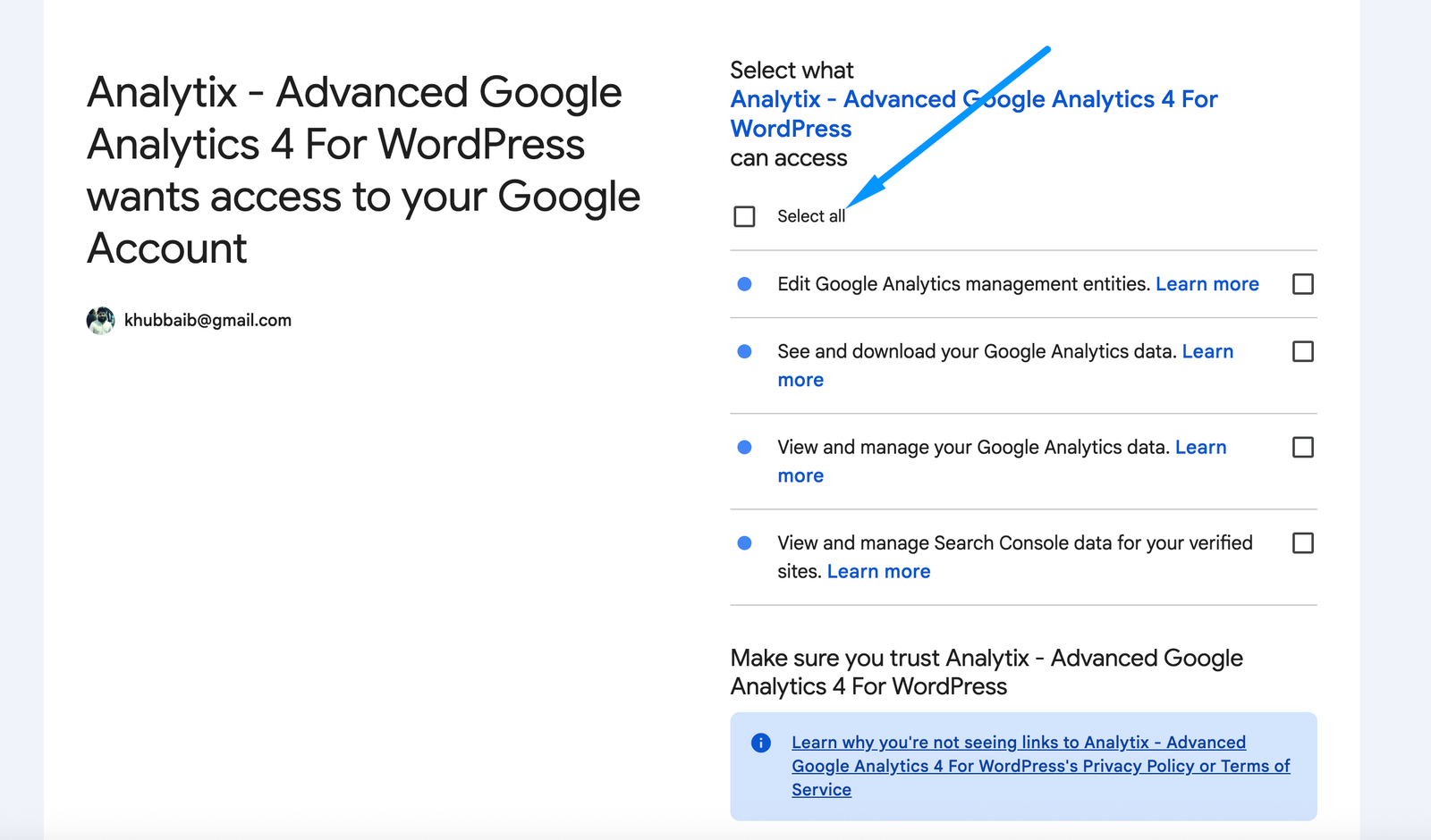 Google OAuth permission screen